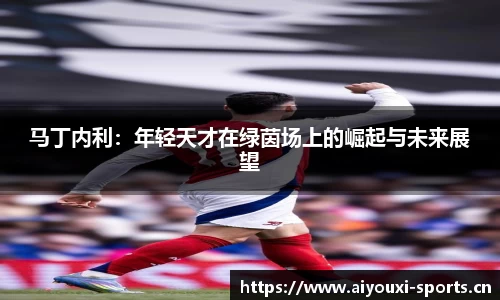 爱游戏官网